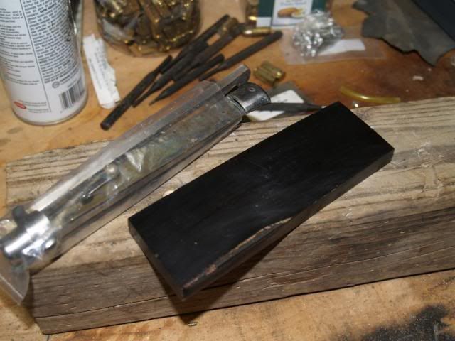P1133606_zpse91e2df9.jpg
