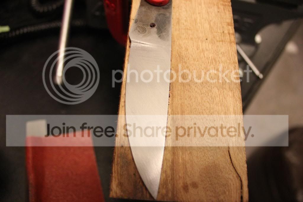 IMG_3921_zps61707ca0.jpg