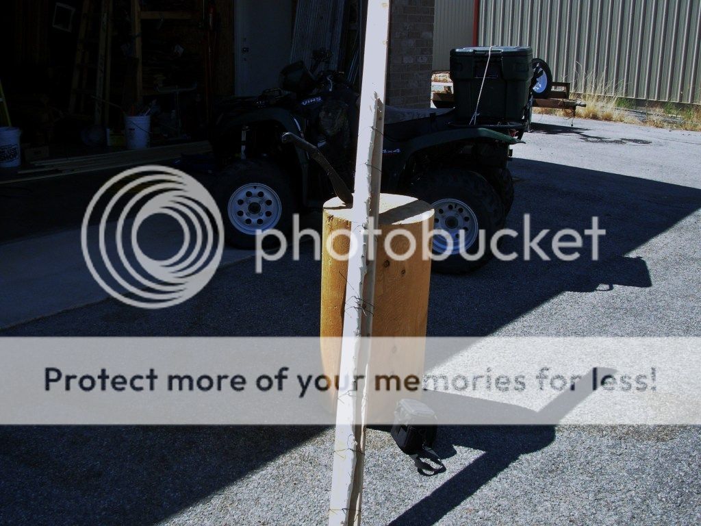 DSCN1703.jpg