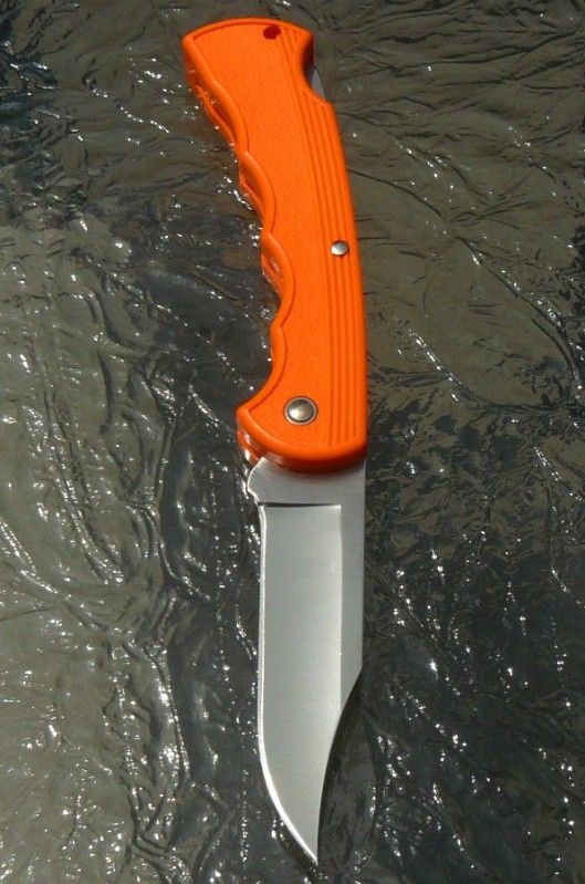 HumpBack450vs442notHump044.jpg