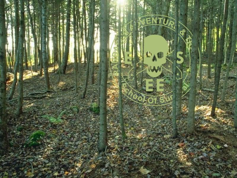 eseeforest_2.jpg
