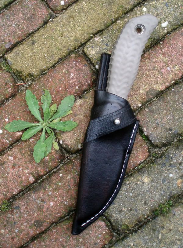 MudPuppy01.jpg