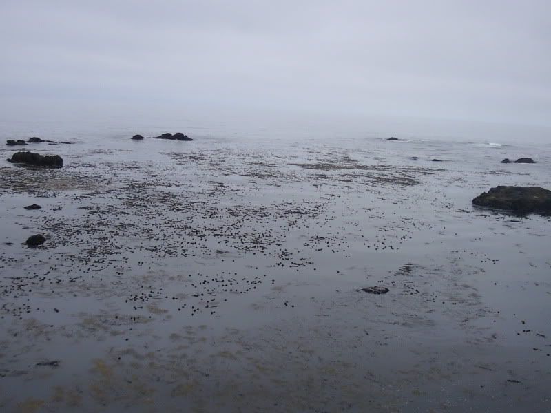 0818101129.jpg