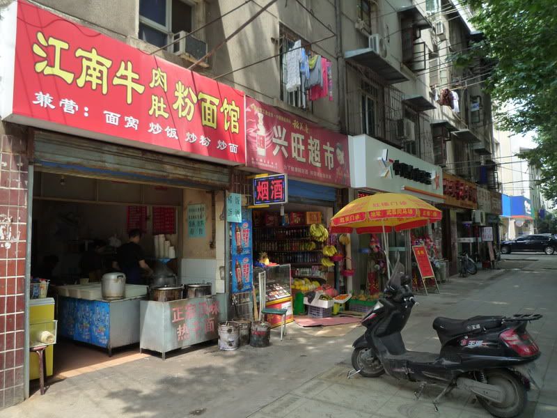 P1060915.jpg