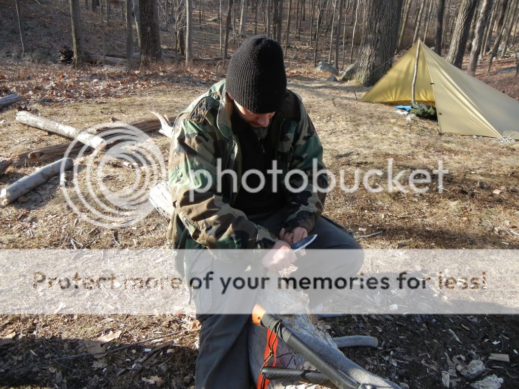 Newpics051.jpg