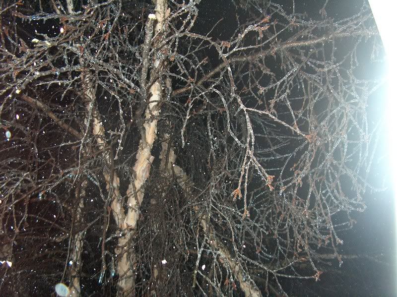 HPIM0368.jpg