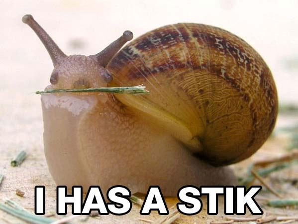 snail.png