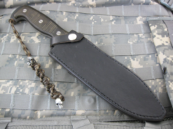 Busse_SHSHII_001.jpg