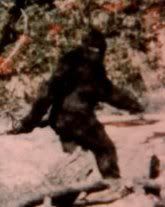 bigfoot.jpg