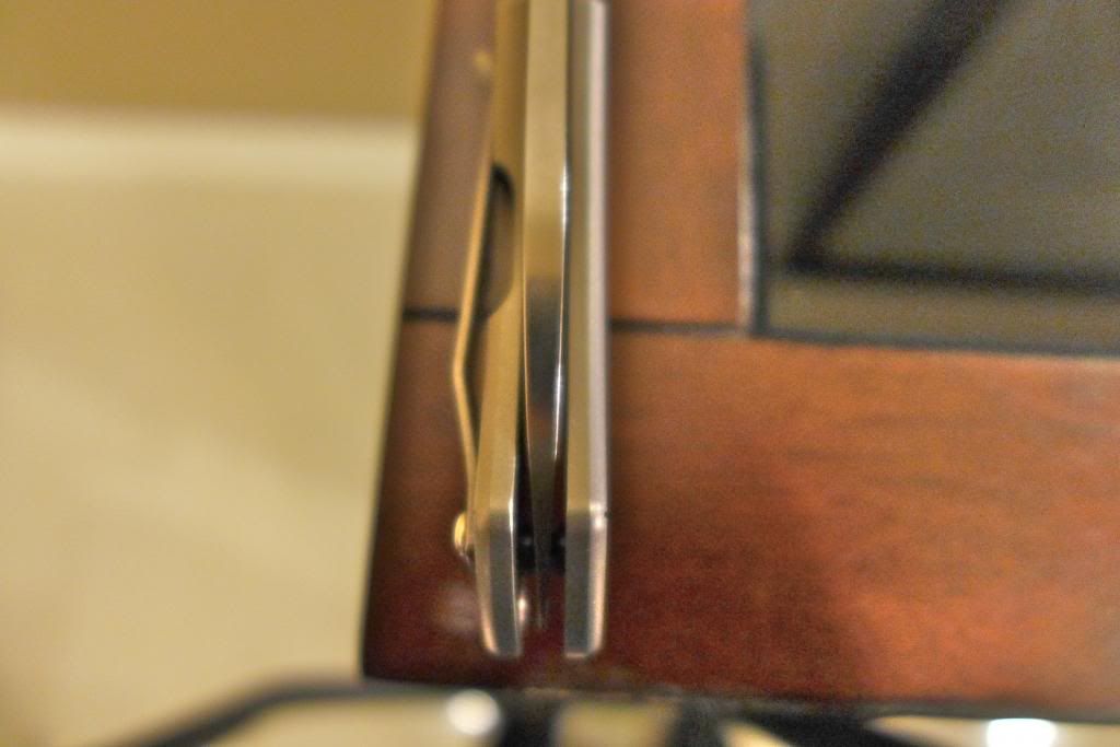 P1000290_zps10c89f20.jpg