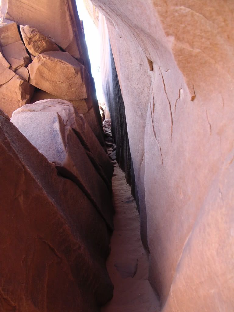 DSCN0144.jpg