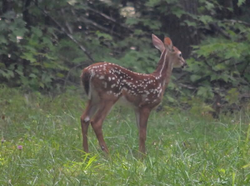 DSC_4061.jpg