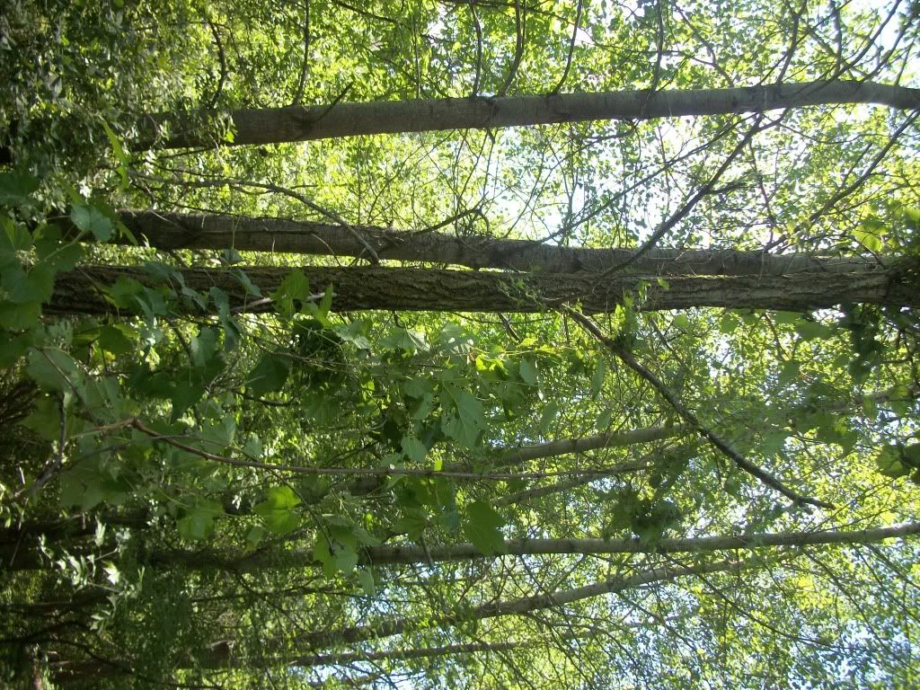 100_0448.jpg