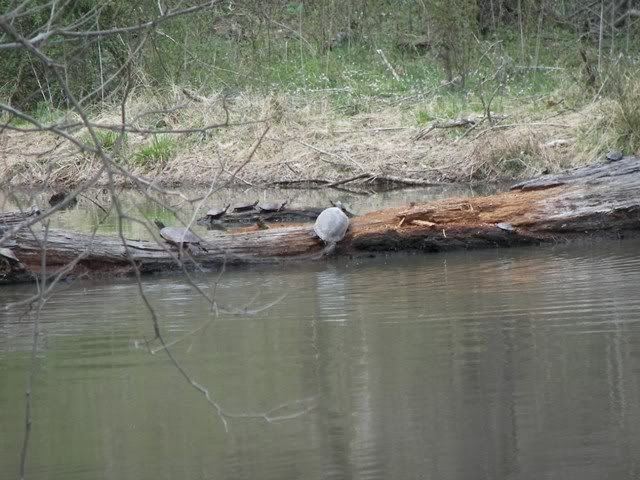 100_4745.jpg