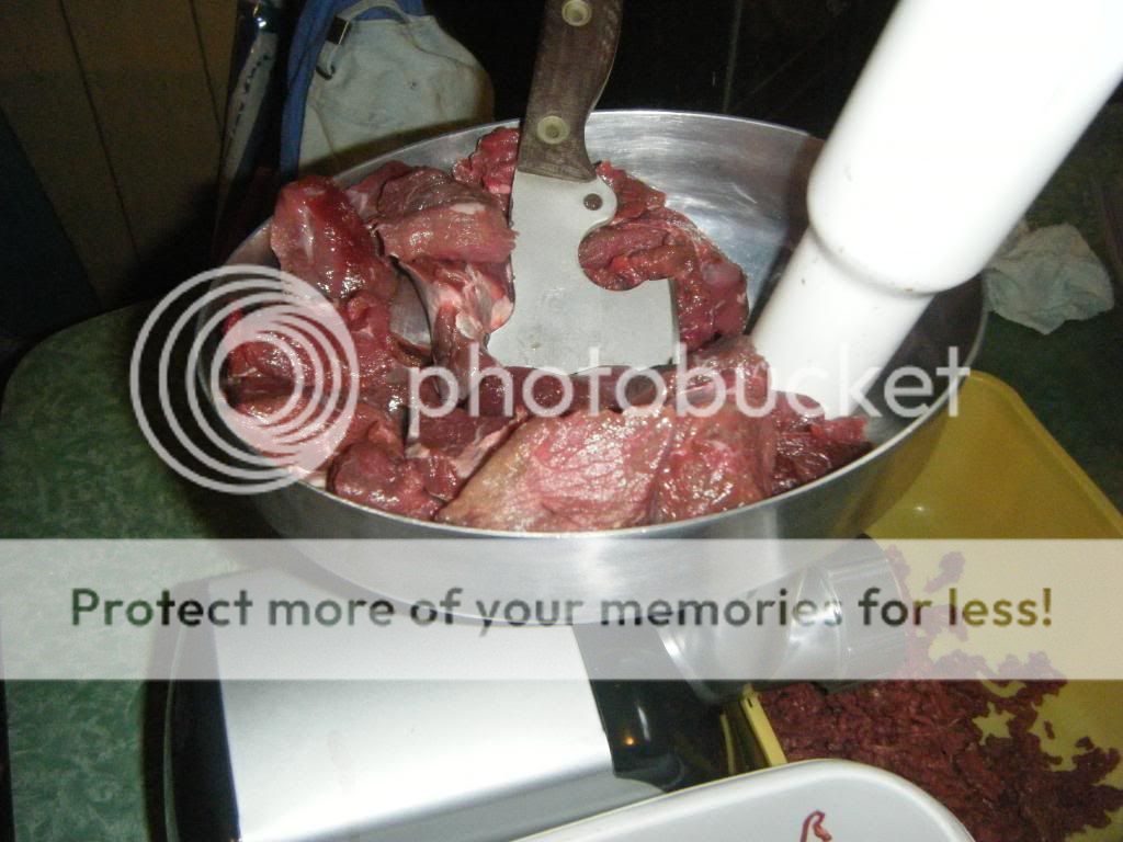 DSCF9537.jpg