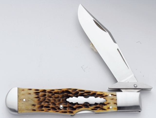 TB812007antqbone.jpg