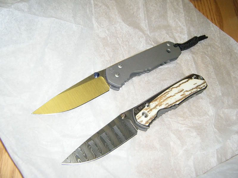 mypicsofsebbie001.jpg