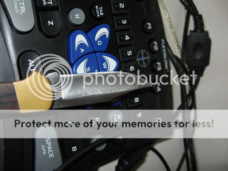 IMG_2132_resize.jpg