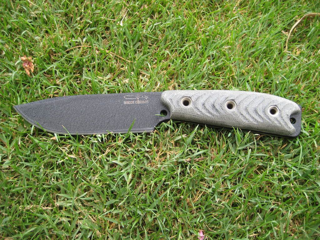 BIllpics556.jpg