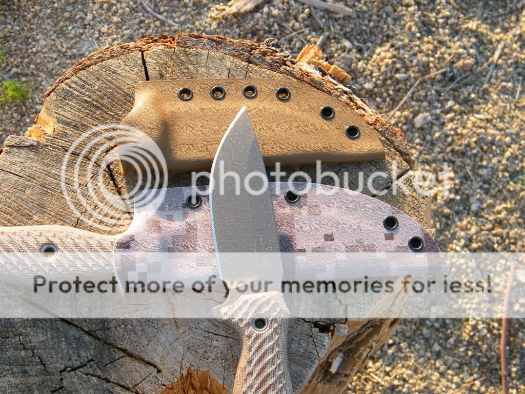 DSCF2677.jpg