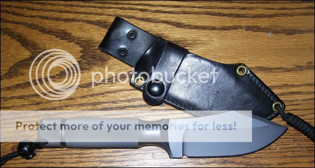 Skinner3.jpg