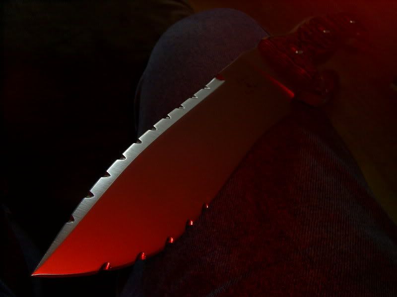 ebaypics193.jpg