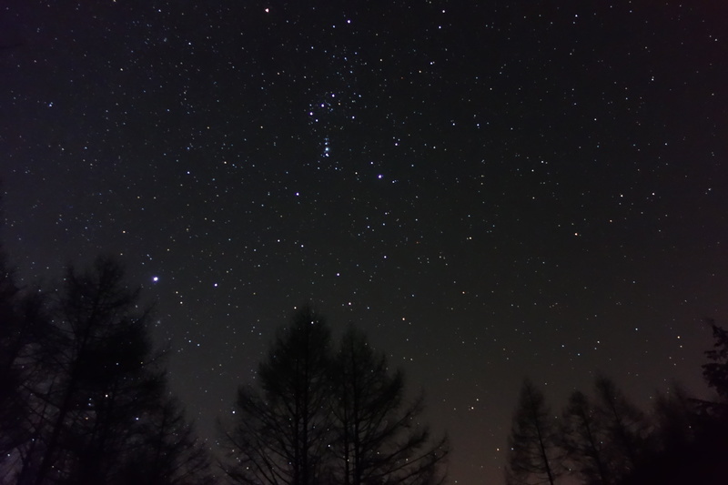 2015.02.08.DSC08969.JPG
