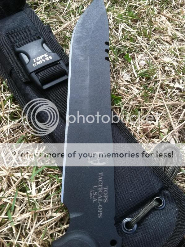 IMG_12561.jpg