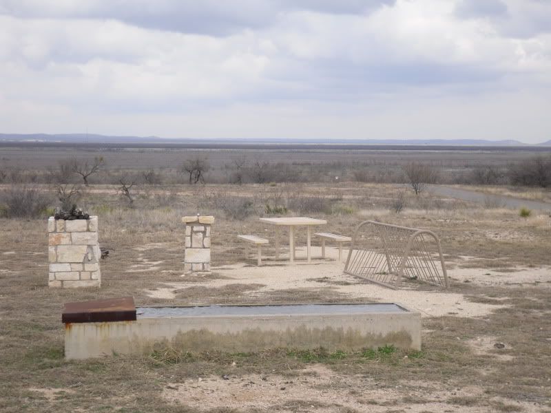 SDC13106.jpg