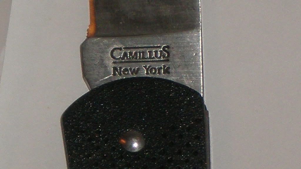 P1010004.jpg
