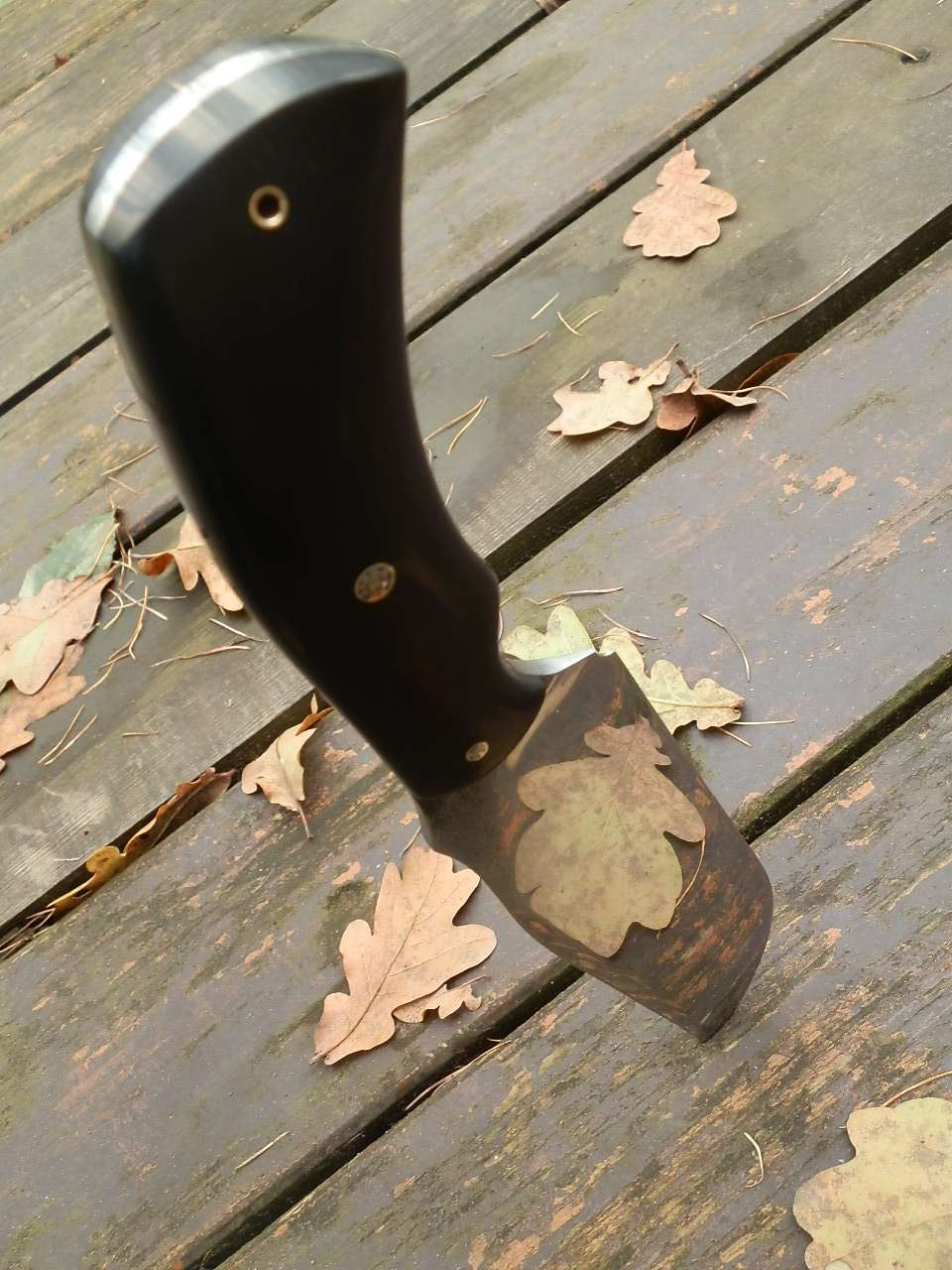 pb063963.jpg
