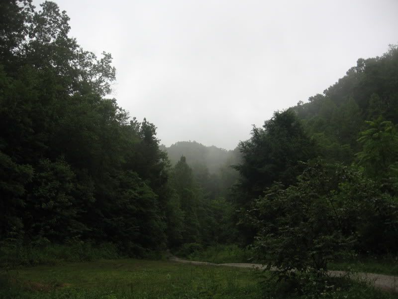 IMG_0375.jpg