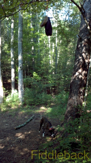 2011090120110825_094734_262-vi.jpg
