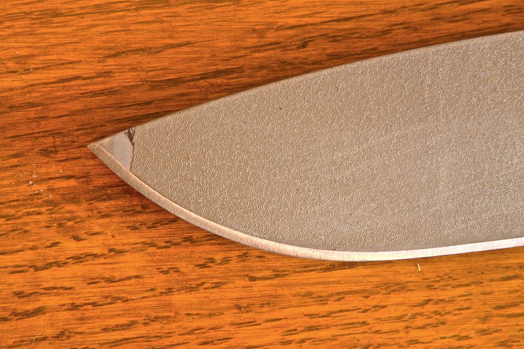 IMG_3021.jpg