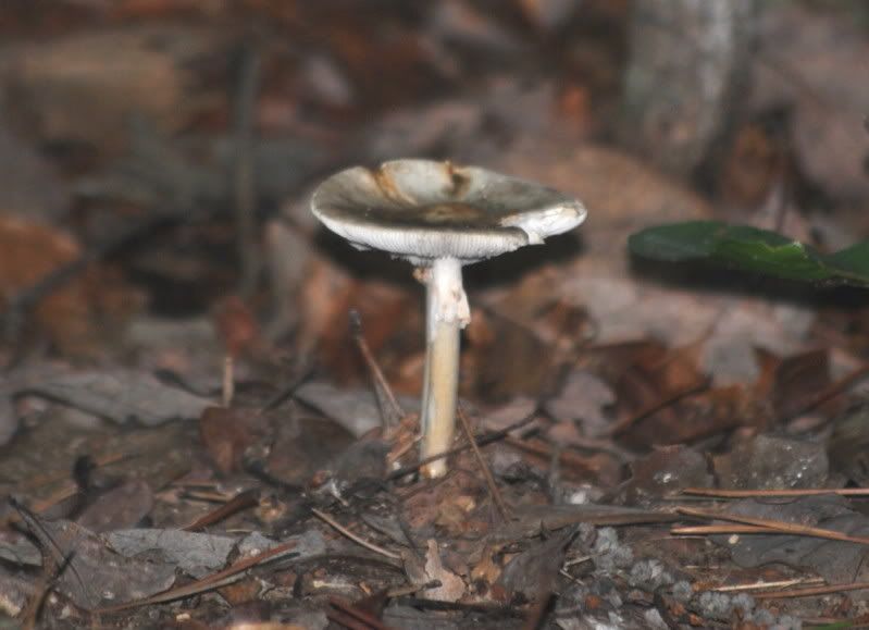 DSC_4627.jpg