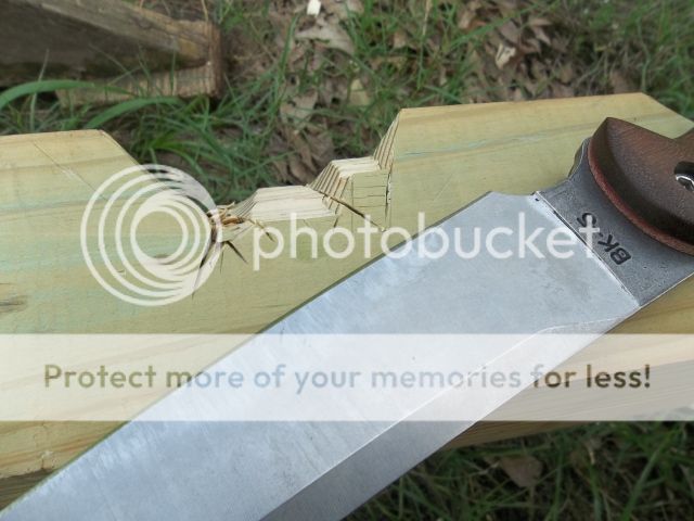 100_2825.jpg