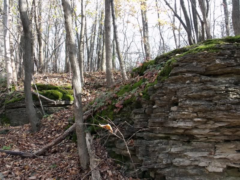 LoreeandBruceFall2010007.jpg