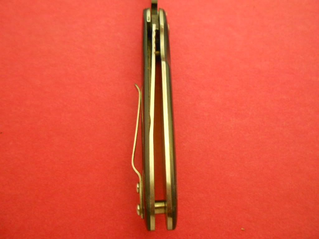 damascusandg10folder037.jpg