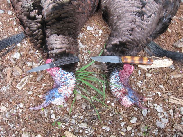 Turk143_zps47f66e3e.jpg