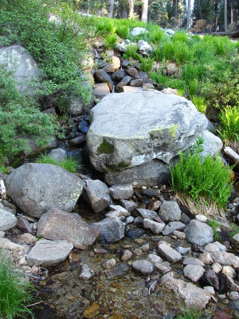 IMG_1505.jpg