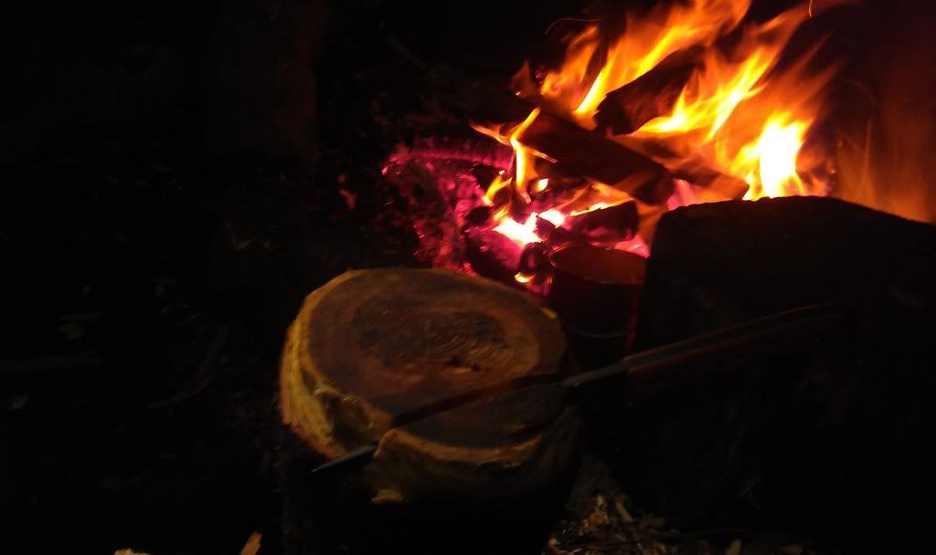 IMAG0179.jpg
