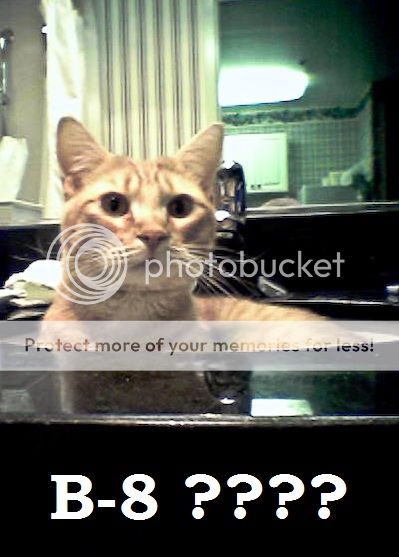 Toby_Sink-B8_zpsbc95361a.jpg