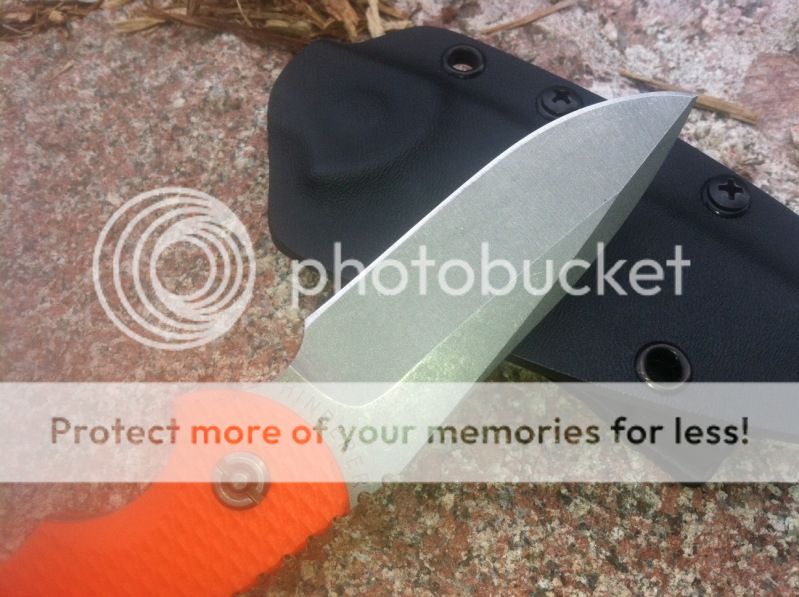 Image1-25.jpg