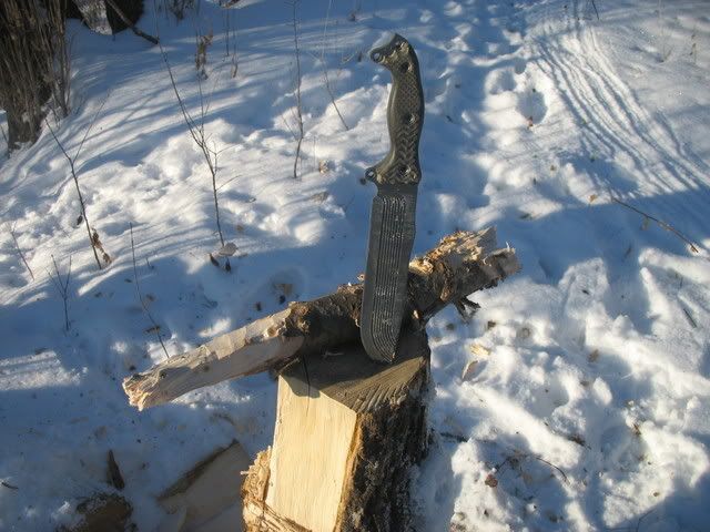 Treeandfun006.jpg
