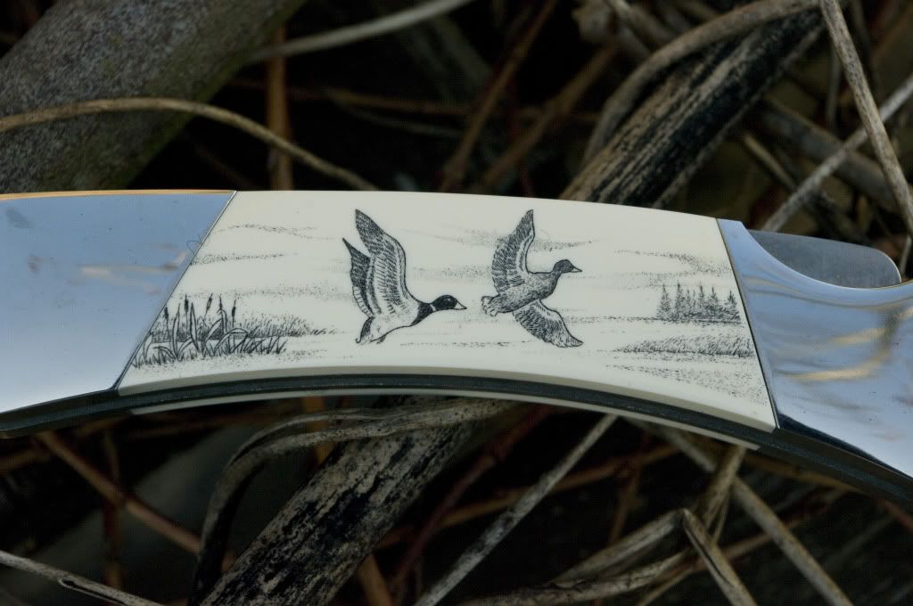 Buck500Birds_3.jpg