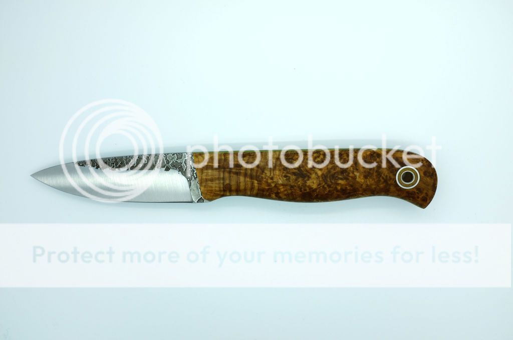 DSCF3664_zps9amslhho.jpg