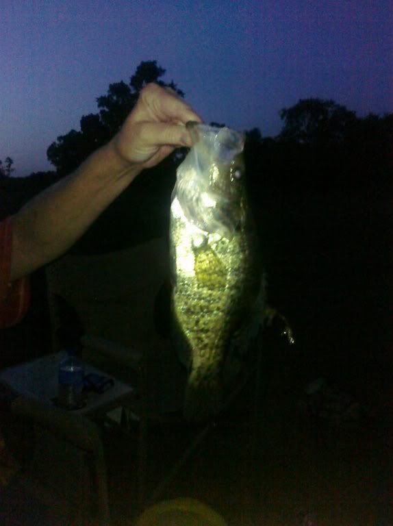 momcrappie2.jpg