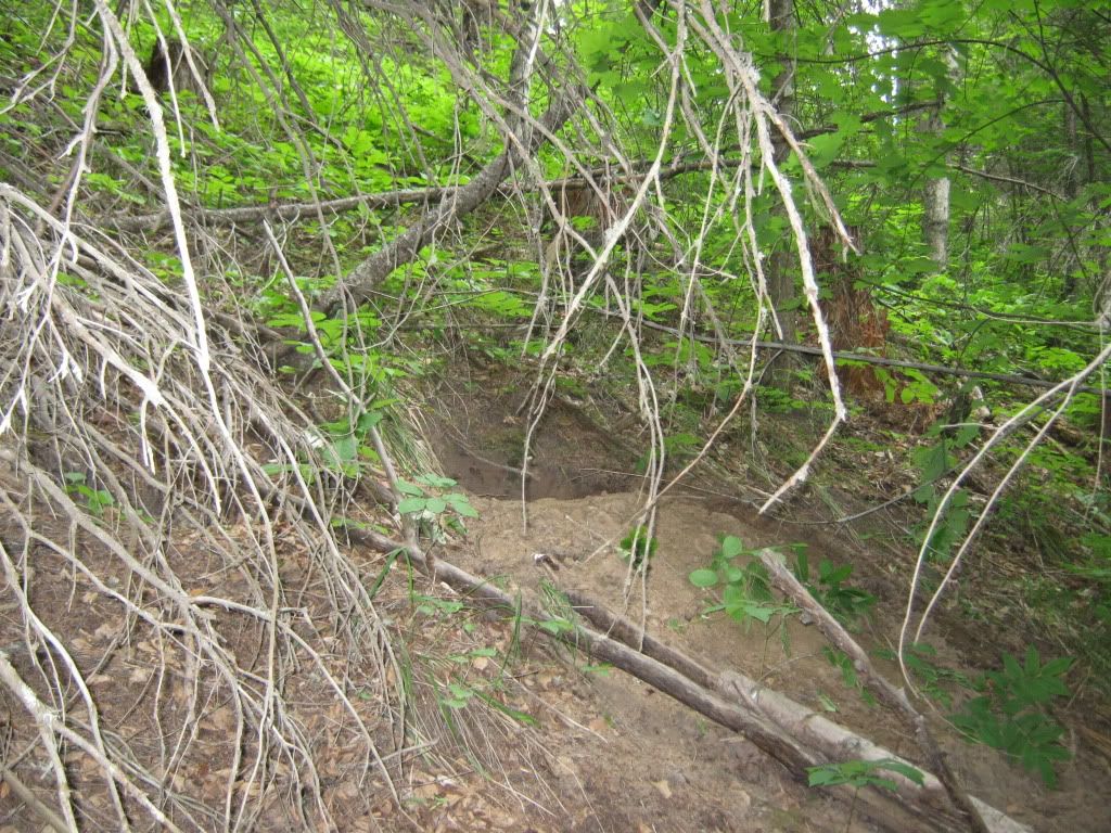 July032010060.jpg