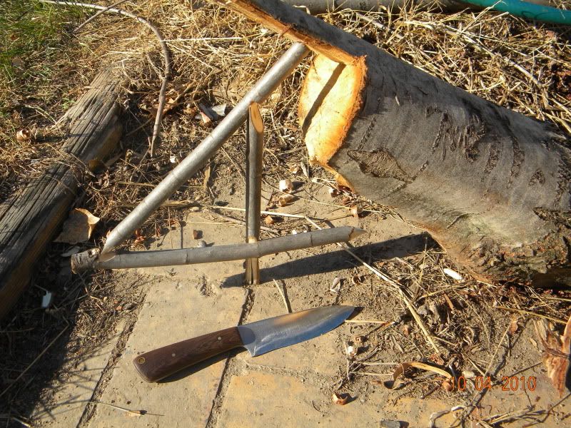 DSCN2905.jpg