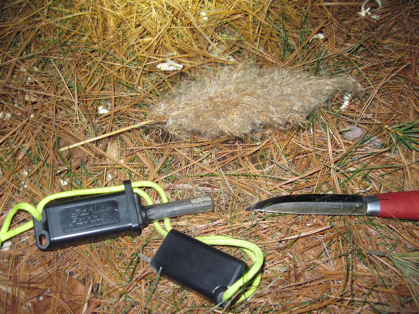 IMG_1439.jpg